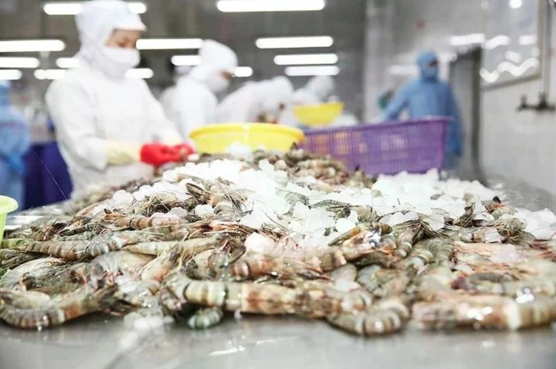 Vietnam, Cuba expand high-tech shrimp farming cooperation